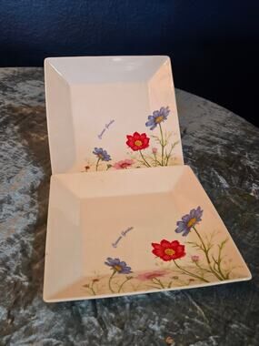 Cosmos' Garden, Chulkiart plates
